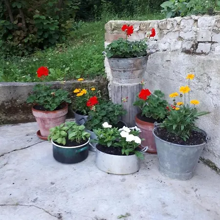 Il Noccioletto 3* 몸바루초