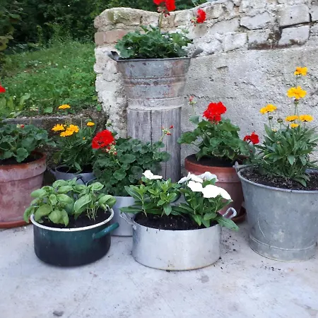 Bed & Breakfast Il Noccioletto