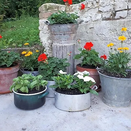 Il Noccioletto Bed & Breakfast Mombaruzzo